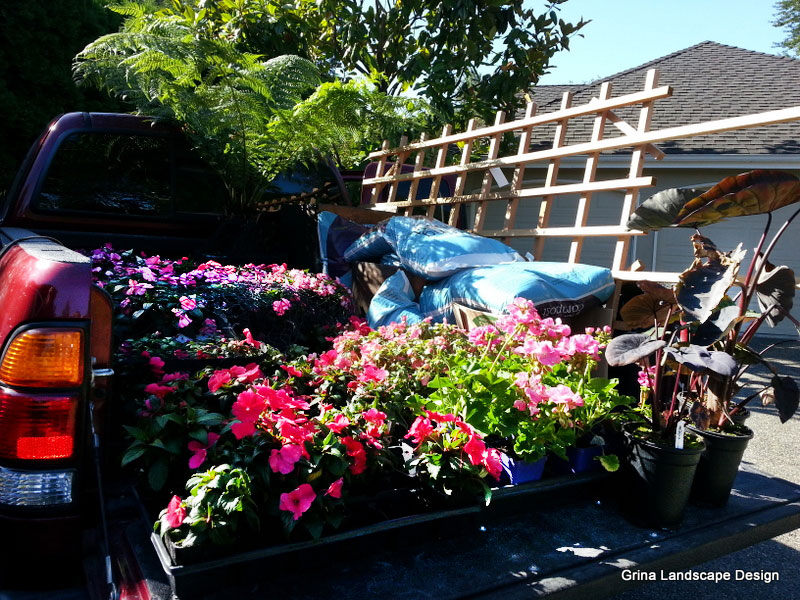A pickup truck loaded with pink blooming annuals will transform a client’s yard into a post wedding venue.