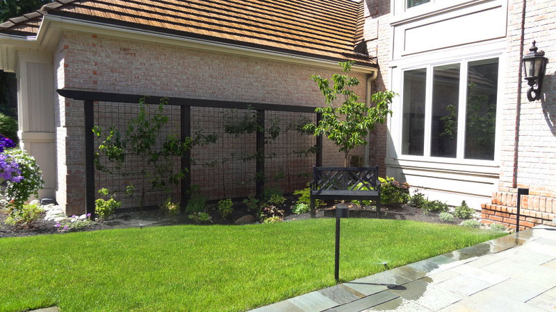 front lawn with garage wall in background with plantings