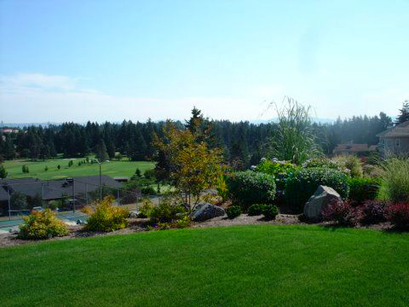 view of lawn with landscaped border and view of forest in background