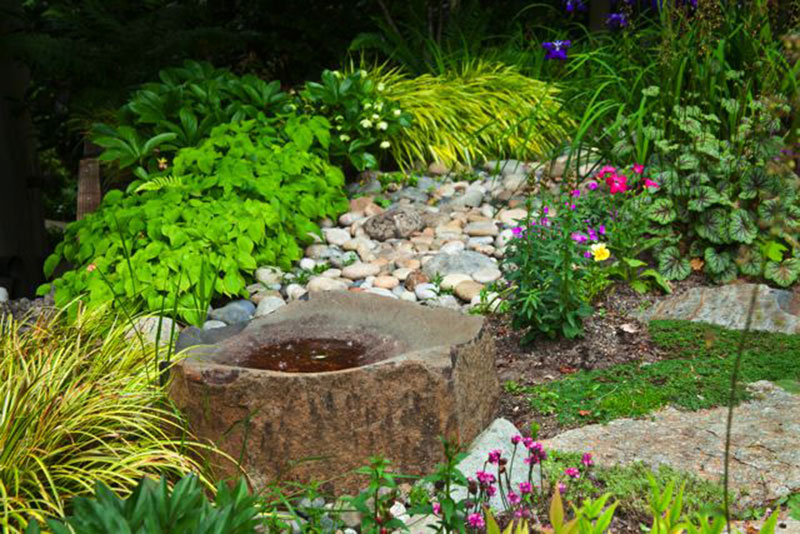 A large boulder with a concave surface doubles as a feature rock for a dry creek bed and as a birdbath.